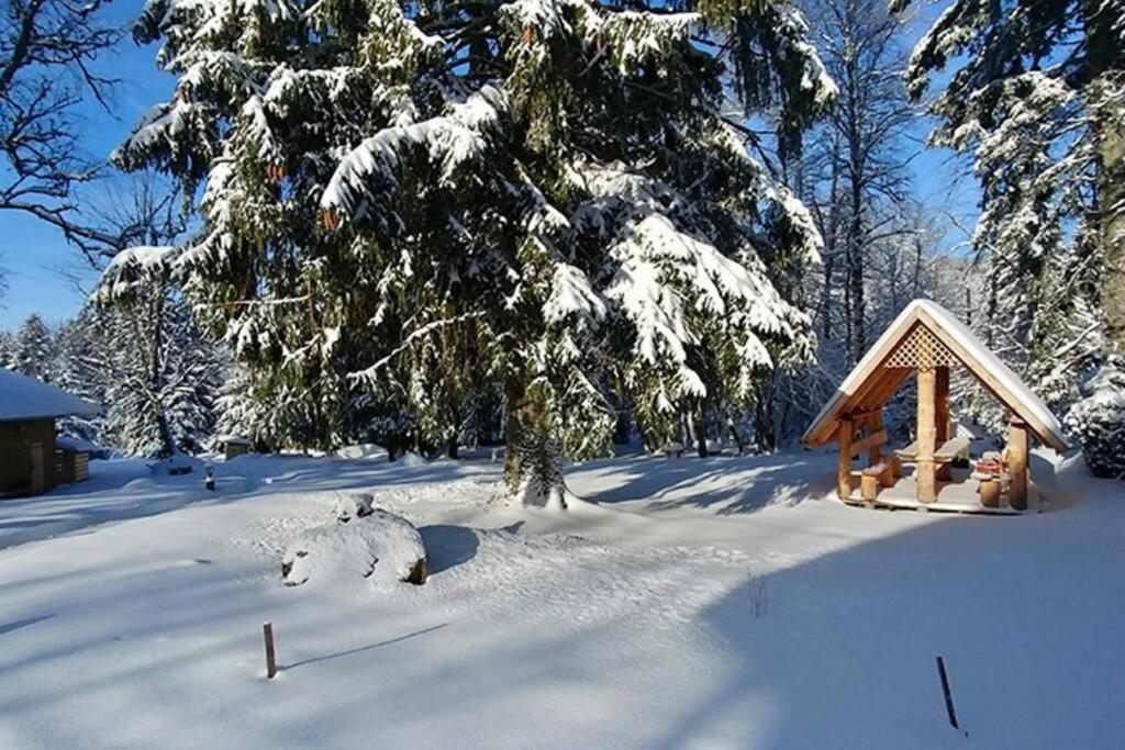 Le Petit Loup, Appartement Neuf Avec Jardin Gerbepal ภายนอก รูปภาพ